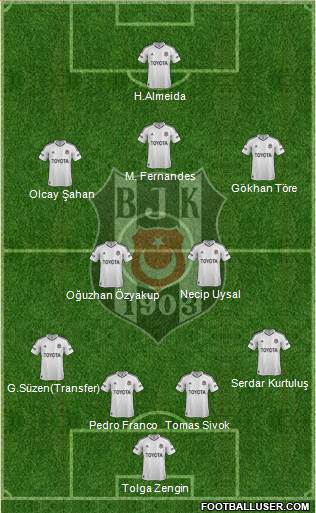 Besiktas JK Formation 2013