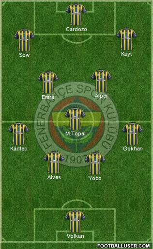 Fenerbahçe SK Formation 2013