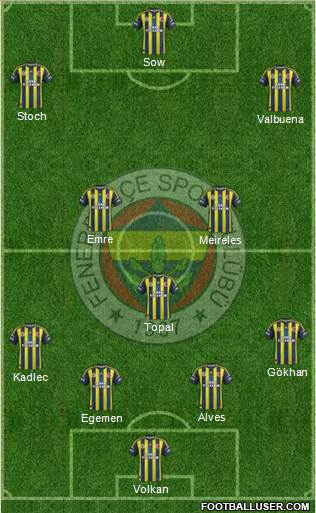Fenerbahçe SK Formation 2013
