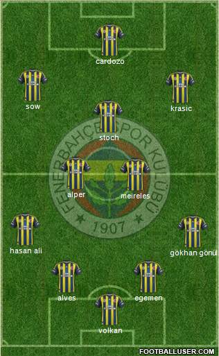 Fenerbahçe SK Formation 2013