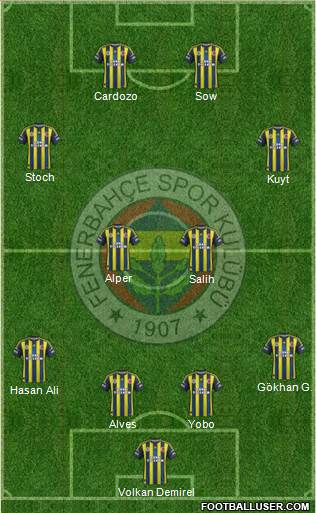 Fenerbahçe SK Formation 2013