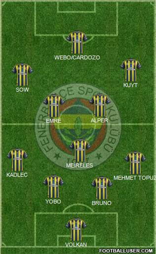 Fenerbahçe SK Formation 2013