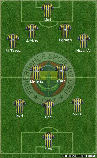 Fenerbahçe SK Formation 2013