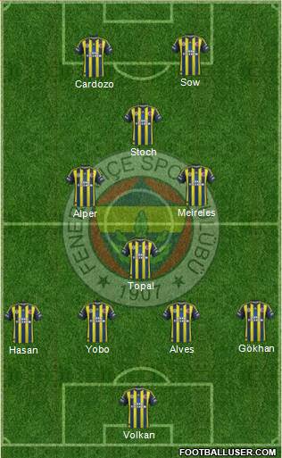 Fenerbahçe SK Formation 2013