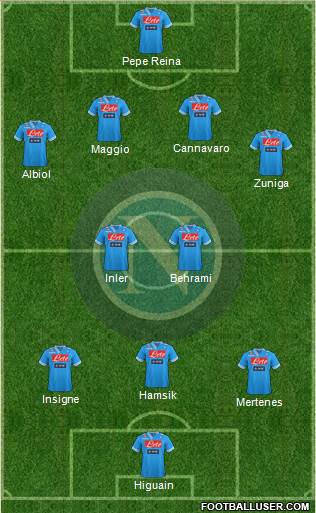 Napoli Formation 2013