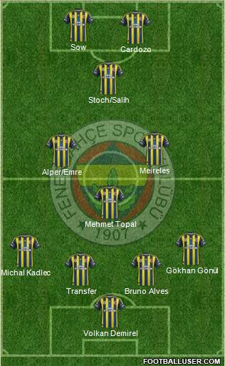 Fenerbahçe SK Formation 2013
