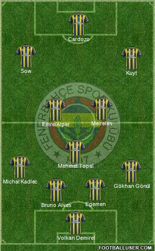 Fenerbahçe SK Formation 2013