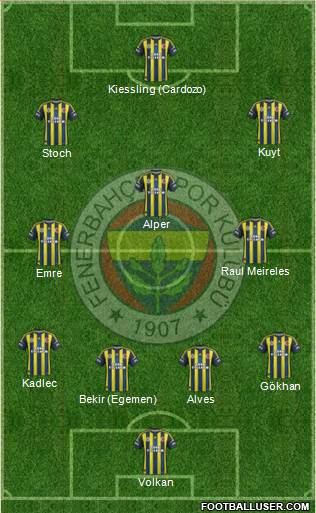 Fenerbahçe SK Formation 2013