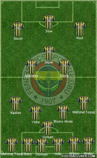 Fenerbahçe SK Formation 2013