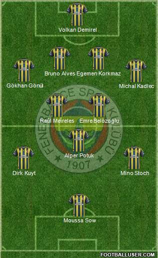 Fenerbahçe SK Formation 2013