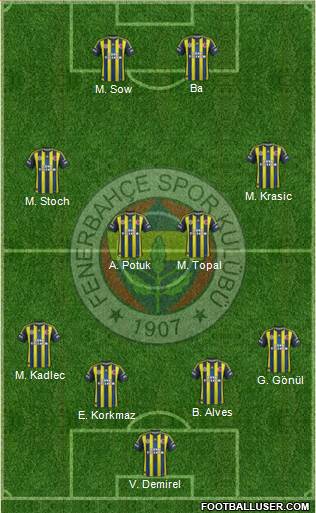 Fenerbahçe SK Formation 2013