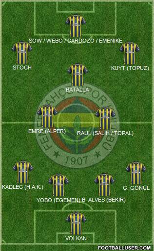 Fenerbahçe SK Formation 2013