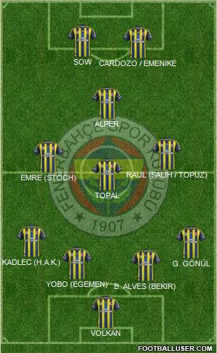 Fenerbahçe SK Formation 2013