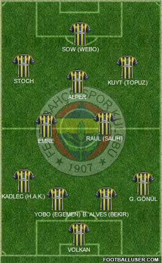 Fenerbahçe SK Formation 2013