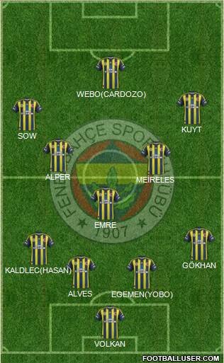 Fenerbahçe SK Formation 2013