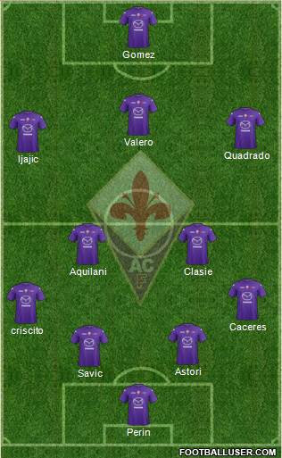 Fiorentina Formation 2013