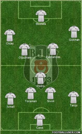 Besiktas JK Formation 2013