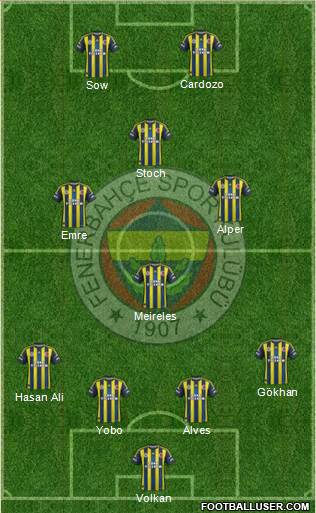 Fenerbahçe SK Formation 2013