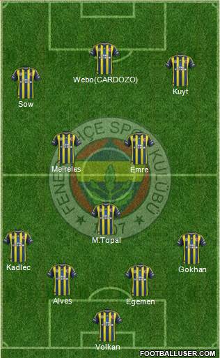 Fenerbahçe SK Formation 2013