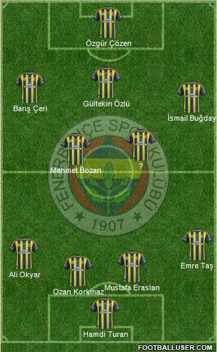 Fenerbahçe SK Formation 2013