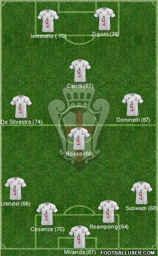 Pro Vercelli Formation 2013