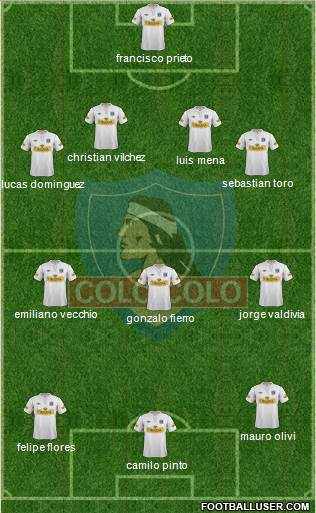 CSD Colo Colo Formation 2013