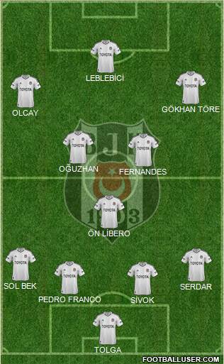 Besiktas JK Formation 2013