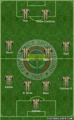 Fenerbahçe SK Formation 2013