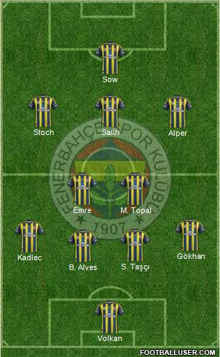 Fenerbahçe SK Formation 2013