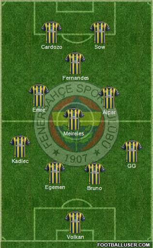 Fenerbahçe SK Formation 2013