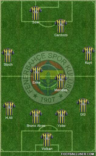 Fenerbahçe SK Formation 2013
