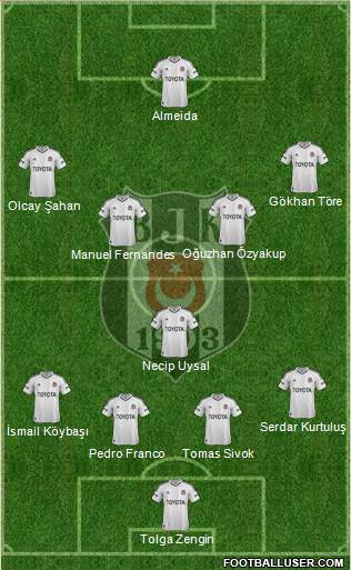 Besiktas JK Formation 2013
