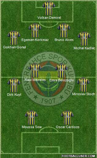 Fenerbahçe SK Formation 2013