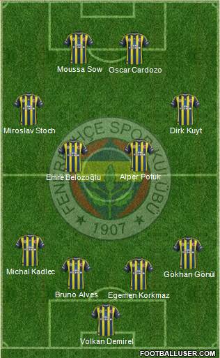 Fenerbahçe SK Formation 2013
