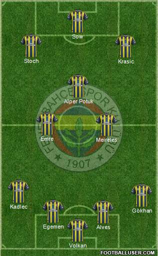 Fenerbahçe SK Formation 2013