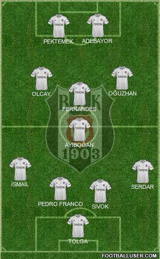 Besiktas JK Formation 2013