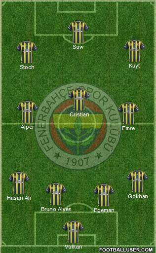 Fenerbahçe SK Formation 2013