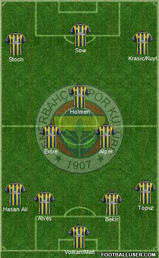 Fenerbahçe SK Formation 2013
