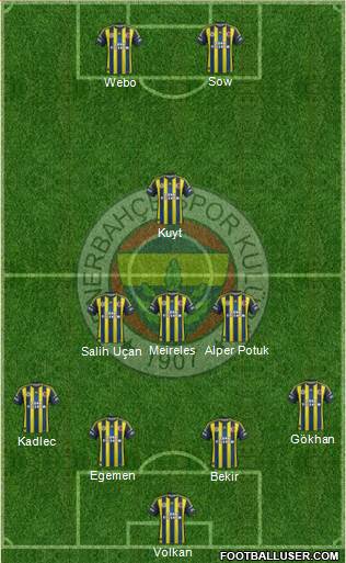 Fenerbahçe SK Formation 2013