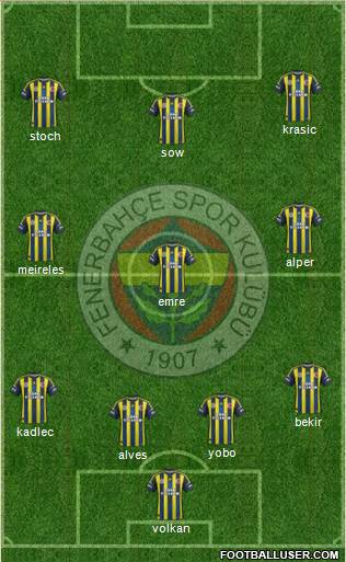 Fenerbahçe SK Formation 2013