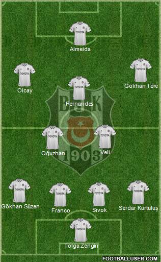 Besiktas JK Formation 2013