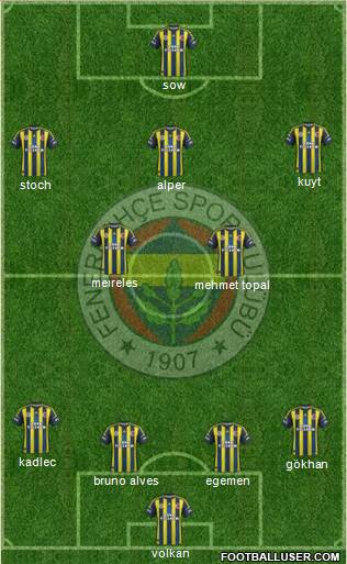 Fenerbahçe SK Formation 2013