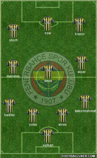 Fenerbahçe SK Formation 2013