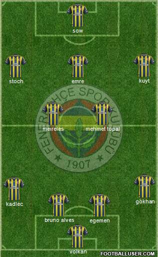 Fenerbahçe SK Formation 2013