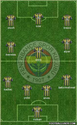 Fenerbahçe SK Formation 2013