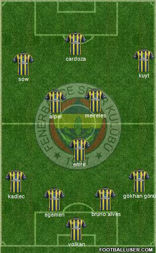Fenerbahçe SK Formation 2013