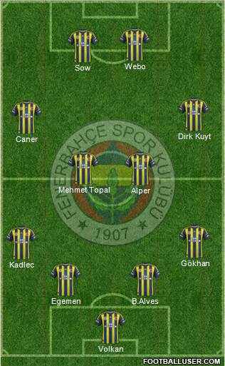 Fenerbahçe SK Formation 2013