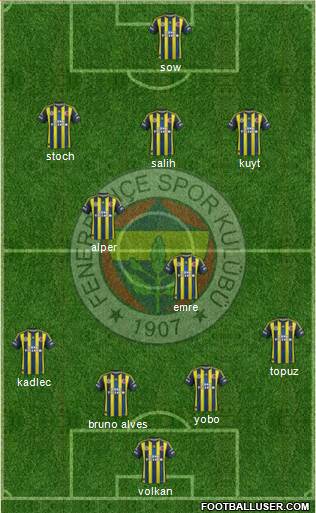 Fenerbahçe SK Formation 2013