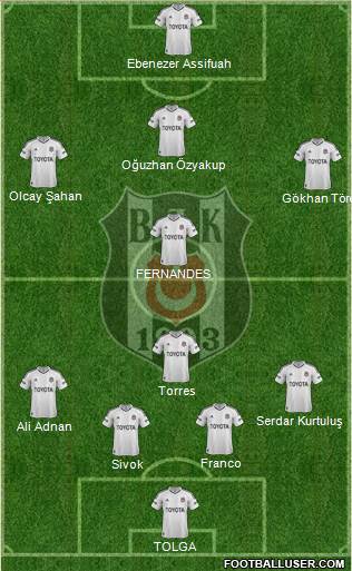 Besiktas JK Formation 2013