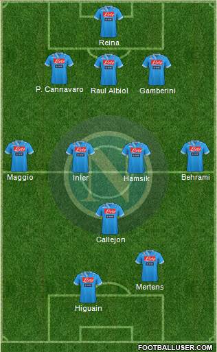 Napoli Formation 2013